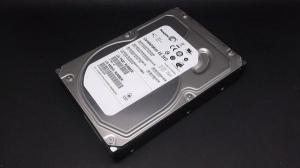 SEAGATE ST31000425SS