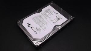 SEAGATE ST31500341AS