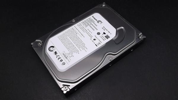 Seagate ST3160318AS