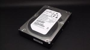 SEAGATE ST32000445SS