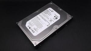 SEAGATE ST3200820AS