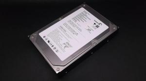 SEAGATE ST3200822AS