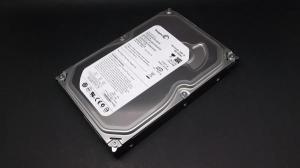 SEAGATE ST3250310AS
