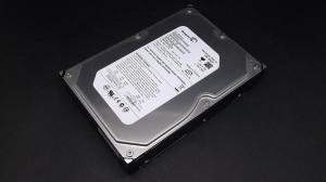 SEAGATE ST3250820AS