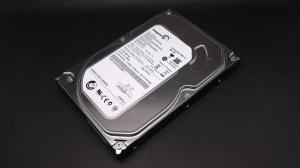 SEAGATE ST3500413AS