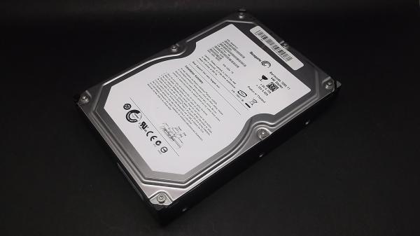 Seagate ST3640623AS