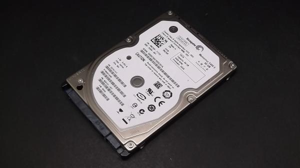 Seagate ST980310AS