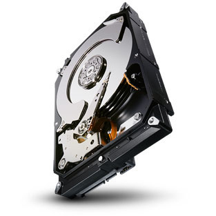 Seagate ST1000NC001