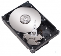 Seagate ST3160211AS