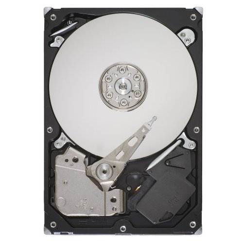 Seagate ST3160813AS