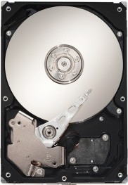 Seagate ST3160815AV