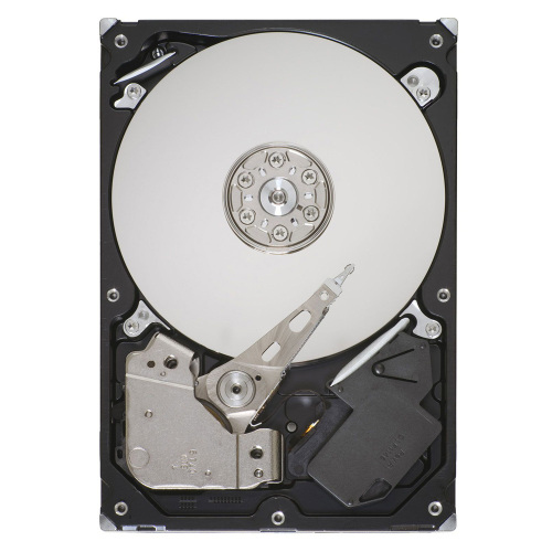 Seagate ST3250310SV