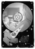 Seagate ST3250824ACE