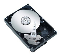 Seagate ST3300620AS