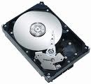 Seagate ST3300822AS