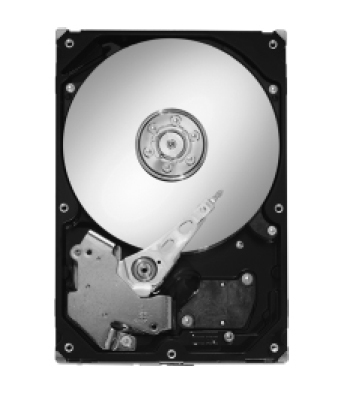 Seagate ST3320620NS