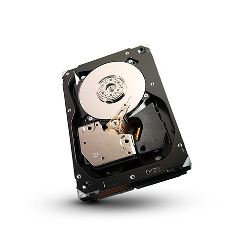 Seagate ST3450857FC