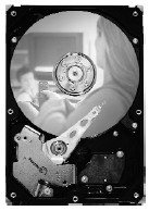 Seagate ST380215SCE