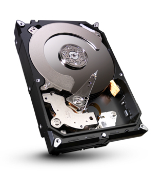 Seagate ST380819AS