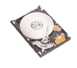 Seagate ST9100823A