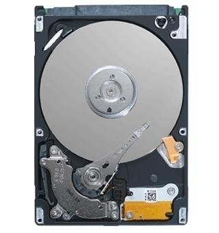 Seagate ST9250411AS