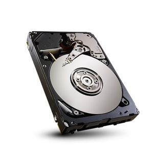 Seagate ST9600005SS