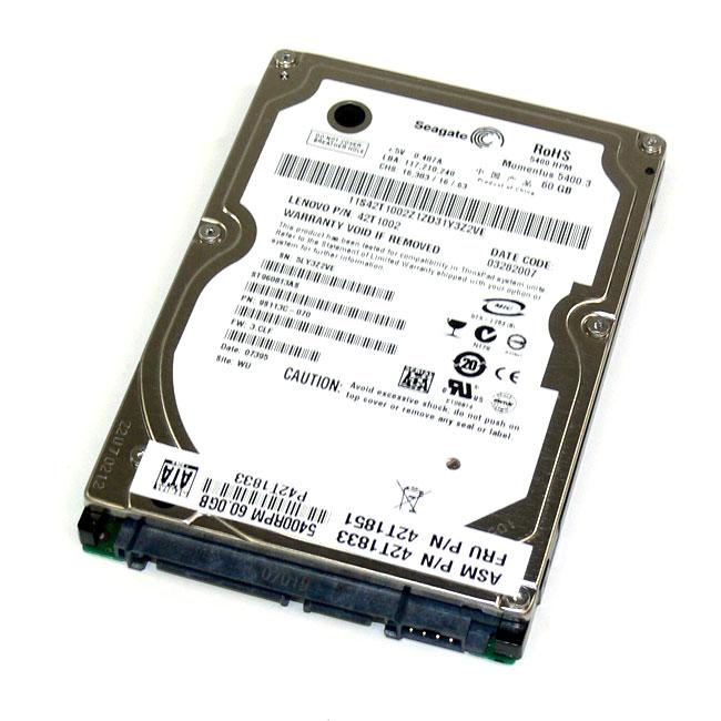 Seagate ST960813AS