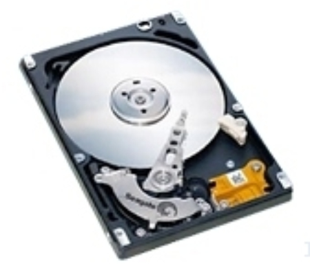 Seagate ST980825AS