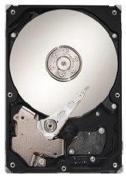 Seagate STM3160211AS